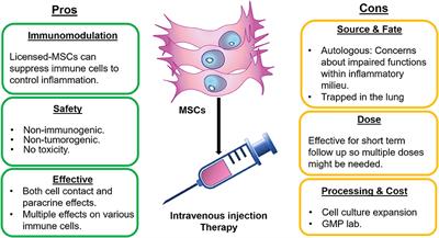 Multipotent Mesenchymal Stromal Cells in Rheumatoid Arthritis and Systemic Lupus Erythematosus; From a Leading Role in Pathogenesis to Potential Therapeutic Saviors?
